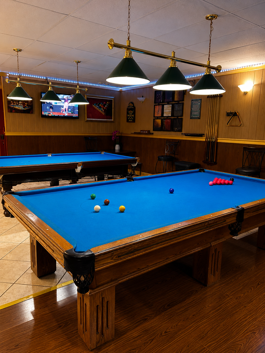 Tournament-quality 9-foot billiards tables with professional-grade felt